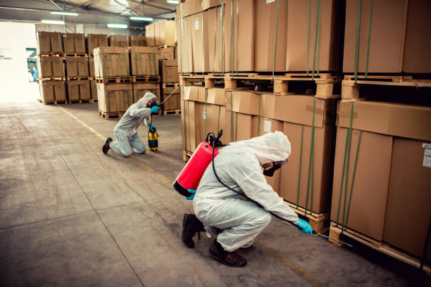 Best Wasp Removal Services  in Peachtree Corners, GA