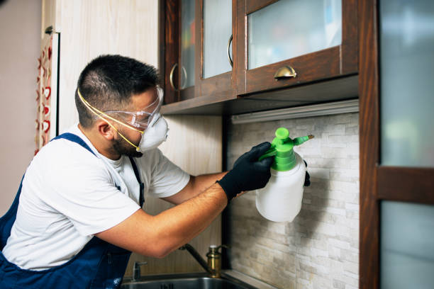 Best Termite Control Services  in Peachtree Corners, GA