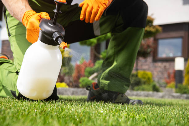 Best Best Pest Control Companies  in Peachtree Corners, GA