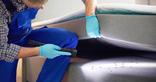 Best Rat Extermination Near Me  in Peachtree Corners, GA