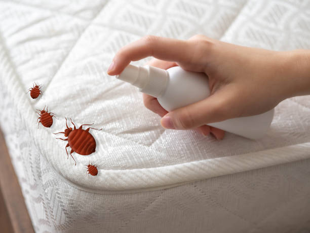 Best Cockroach Control Services  in Peachtree Corners, GA
