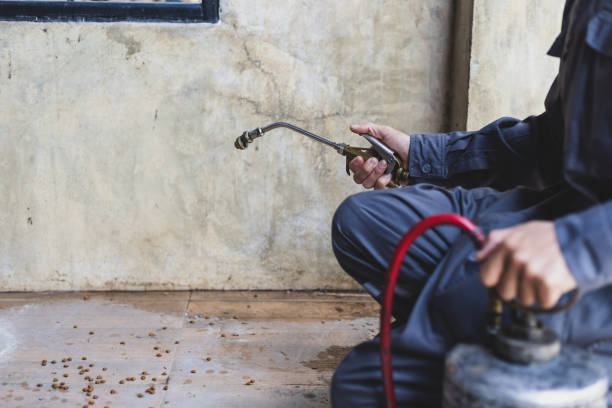 Pest Prevention Services in Peachtree Corners, GA